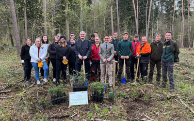 1,500 trees for the Nördlingen municipal forest