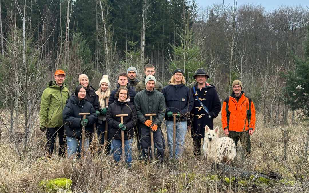 Greening the Future: Destilla’s Tree Planting Initiative 2024