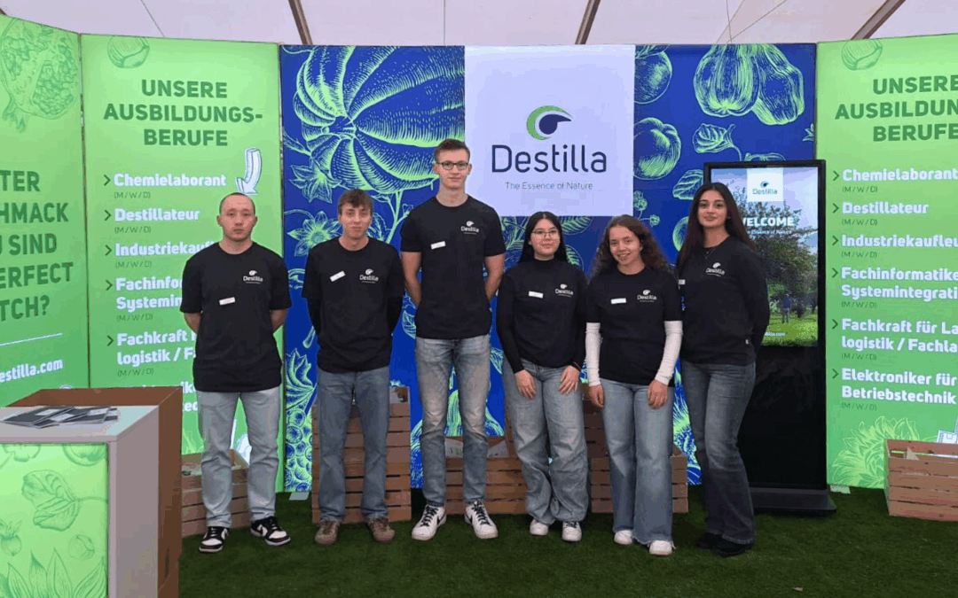 Azubi-Suche auf dem Berufswegekompass in Hamburg